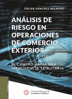 Análisis de Riesgos en Operaciones de Comercio Exterior